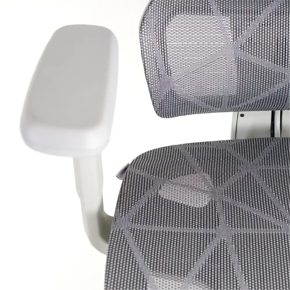 Cadeira Ergonômica Elements Siggy